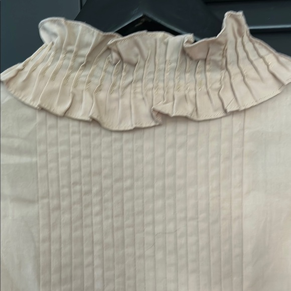 Rodner Figueroa Amazing Coquette Beige-y Pink Ruffle Dress, Size Small - Picture 12 of 15